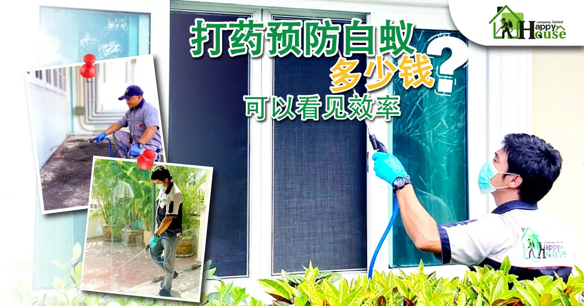 打药预防白蚁  打药预防白蚁 ? 可以看见效率