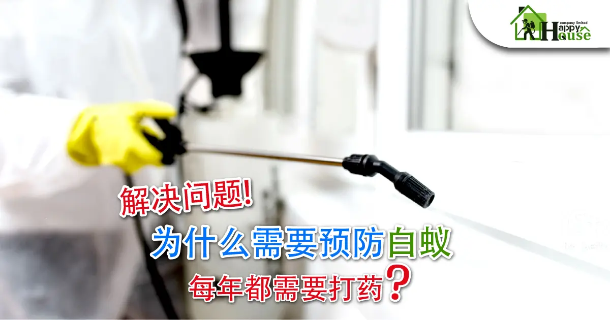 解决问题! 为什么需要预防白蚁 每年都需要打药?