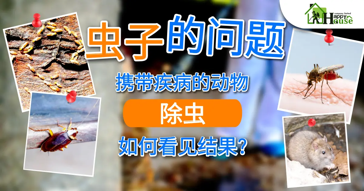 虫子的问题 携带疾病的动物 除虫 如何看见结果?