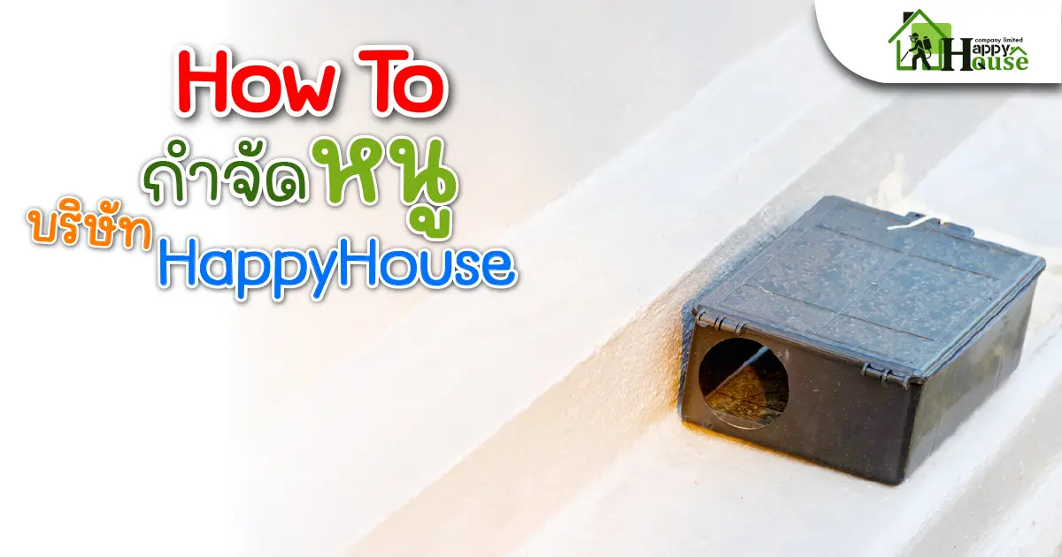 How Toกำจัดหนู บริษัท Happy House