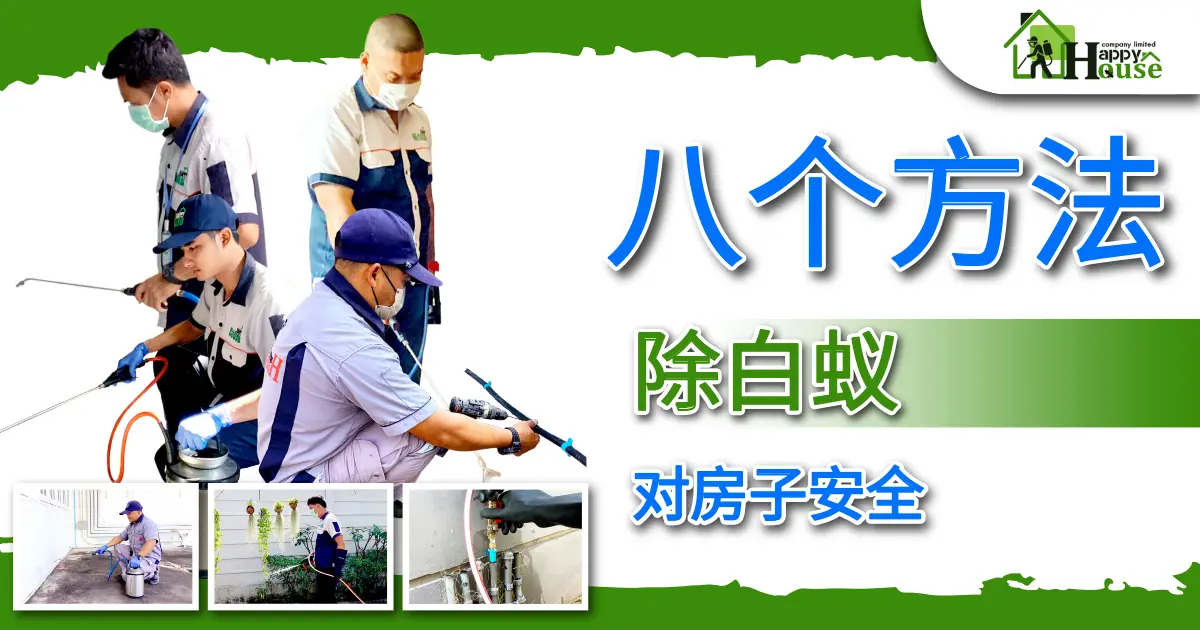 八个方法 除白蚁对房子安全