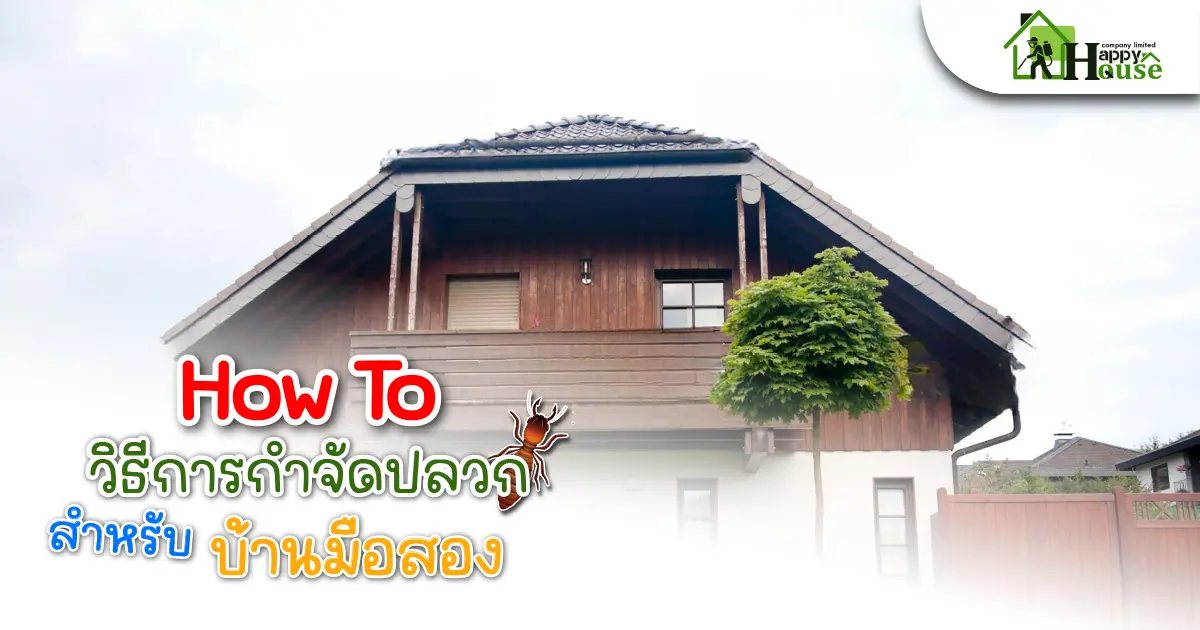 How to วิธีการกำจัดปลวก สำหรับบ้านมือสอง How to วิธีการกำจัดปลวก สำหรับบ้านมือสอง