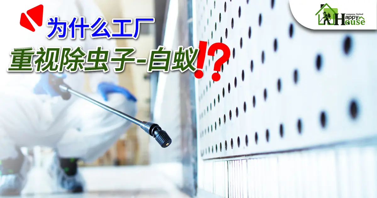 为什么工厂 重视除虫子-白蚁