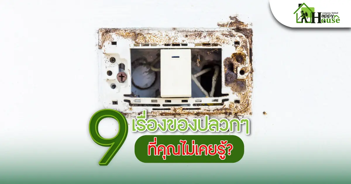 9เรื่องของปลวกๆที่่คุณไม่เคยรู้?