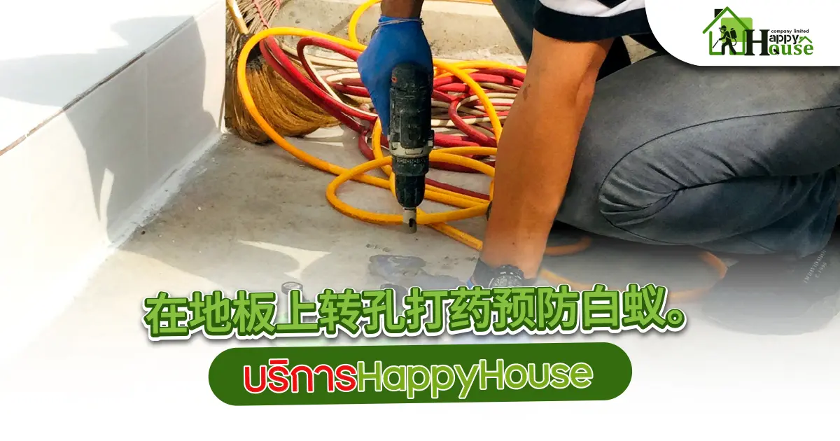 在地板上转孔打药预防白蚁。HappyHouse