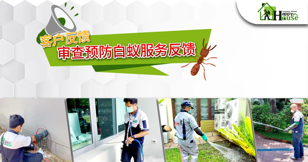 客户反馈 审查预防白蚁服务反馈