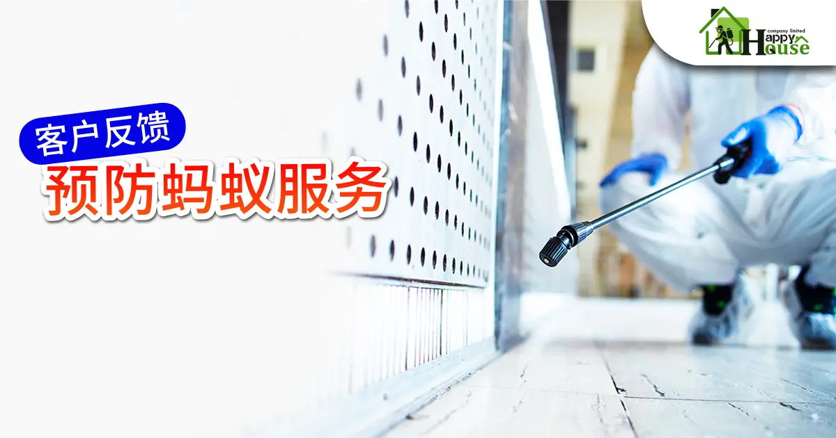 客户反馈 预防蚂蚁服务