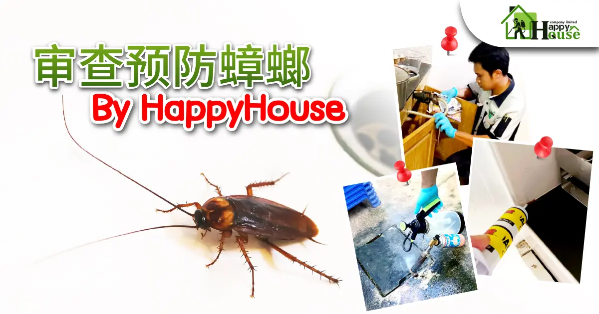 审查预防蟑螂 By HappyHouse