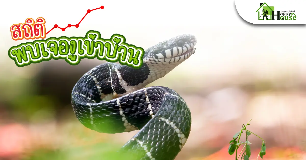สถิติพบเจองูเข้าบ้าน