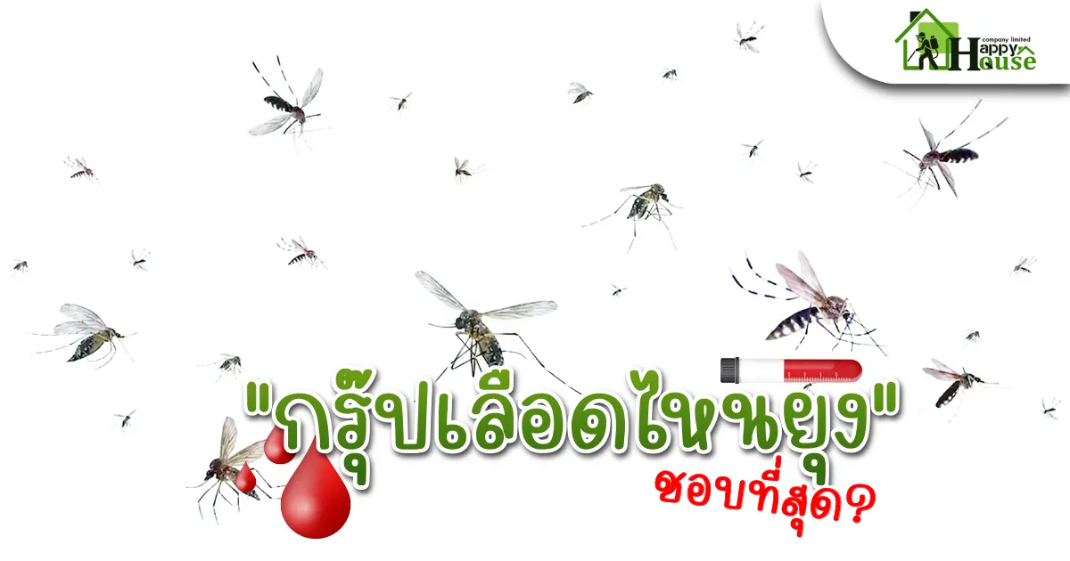 กรุ๊ปเลือดไหนยุงชอบที่สุด? กรุ๊ปเลือดไหนยุงชอบที่สุด?