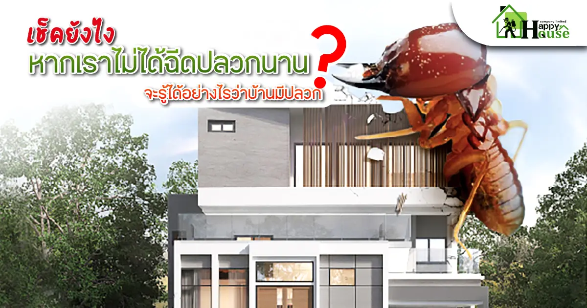 เช็คยังไง หากเราไม่ได้ฉีดปลวกนานจะรู้ได้อย่างไรว่ามีปลวก? เช็คยังไง หากเราไม่ได้ฉีดปลวกนานจะรู้ได้อย่างไรว่ามีปลวก?