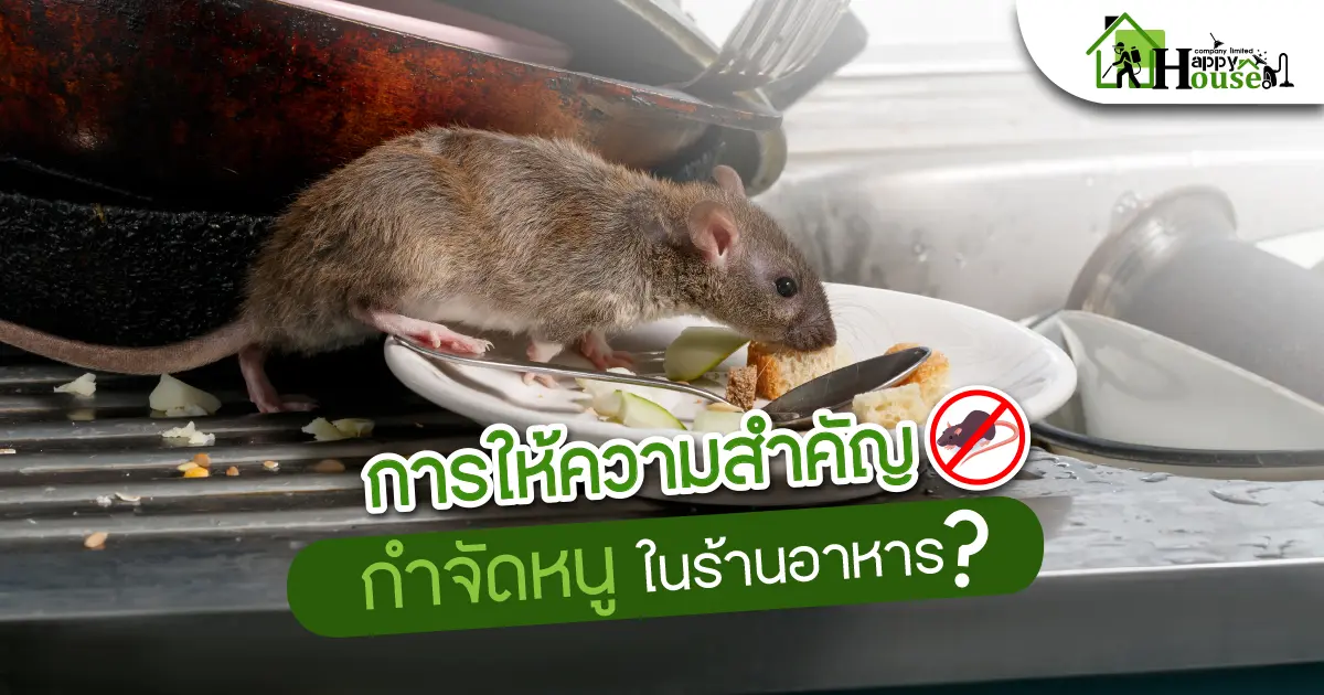 การให้ความสำคัญการกำจัดหนูในร้านอาหาร การให้ความสำคัญการกำจัดหนูในร้านอาหาร