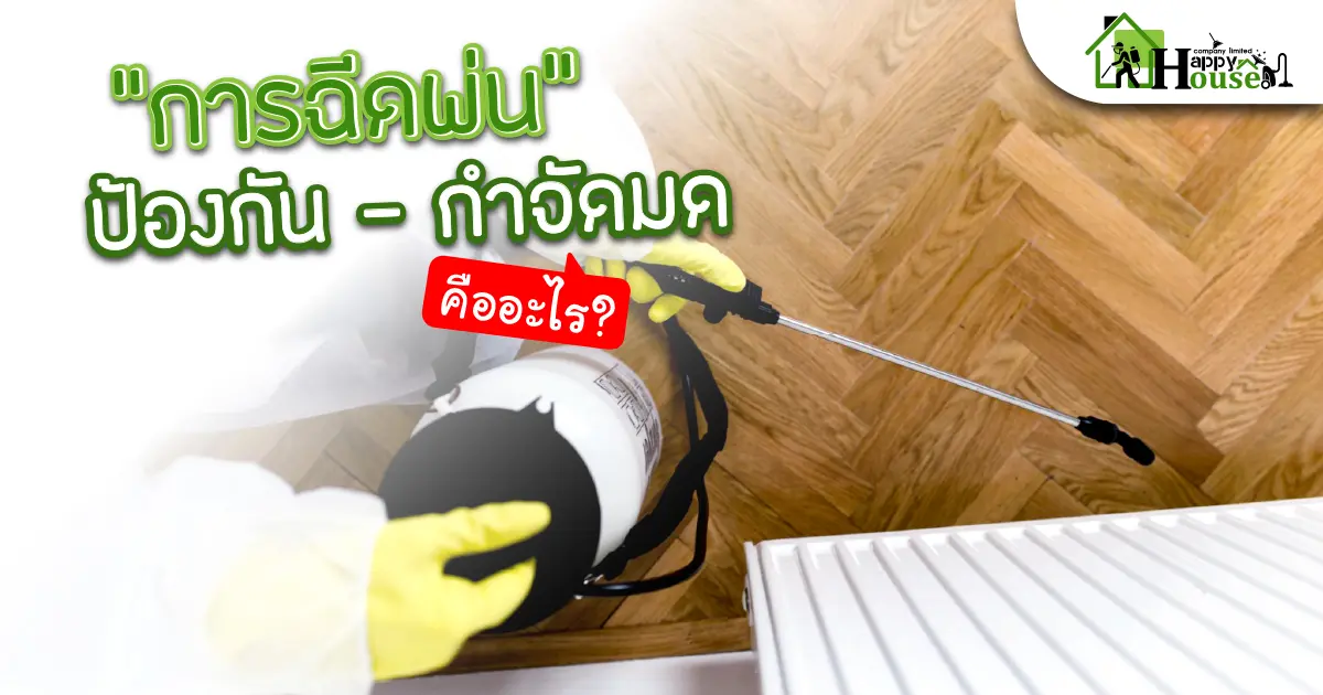 การฉีดพ่นป้องกัน-กำจัดมด คืออะไร? การฉีดพ่นป้องกัน-กำจัดมด คืออะไร?