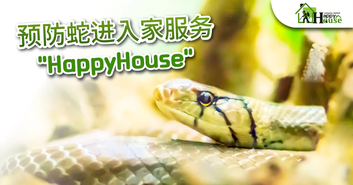 预防蛇进入家服务 “HappyHouse”