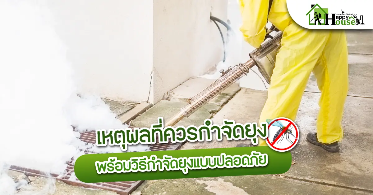 เหตุผลที่ควรกำจัดยุง พร้อมวิธีกำจัดยุงแบบปลอดภัย