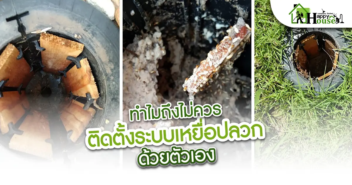 ทำไมถึงไม่ควรติดตั้งระบบเหยื่อปลวกด้วยตัวเอง