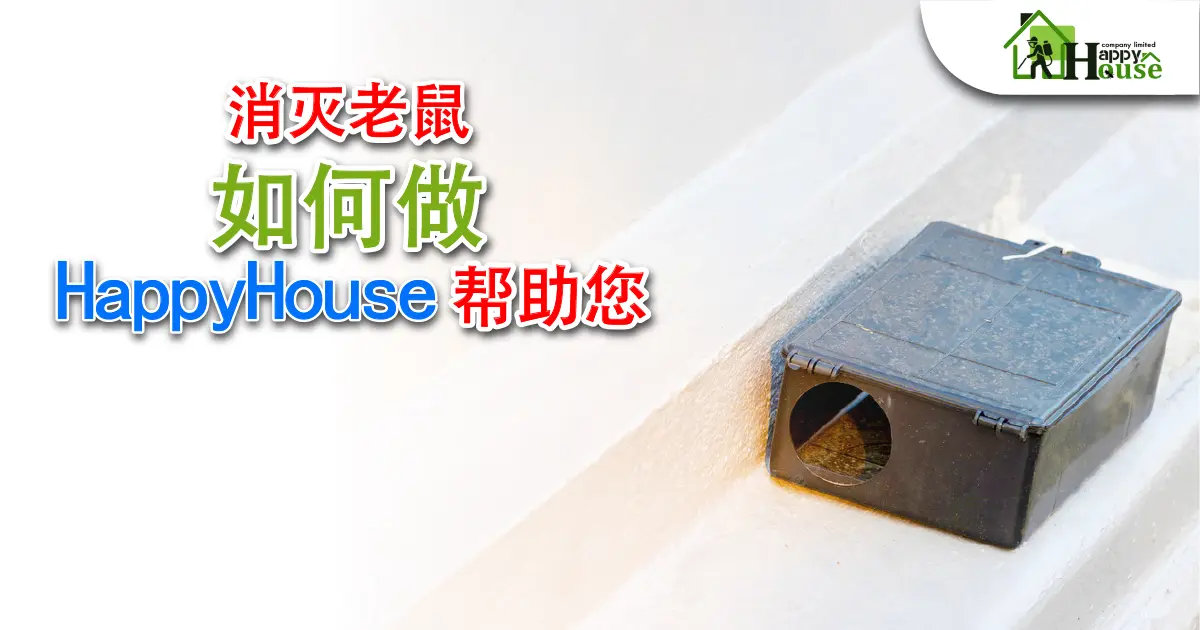 消灭老鼠 如何做 HappyHouse帮助您