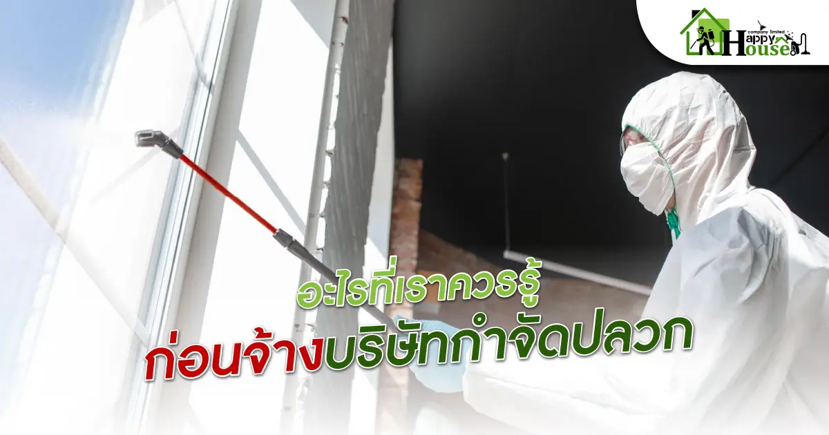 อะไรที่เราควรรูก่อนจ้างบริษัทกำจัดปลวก