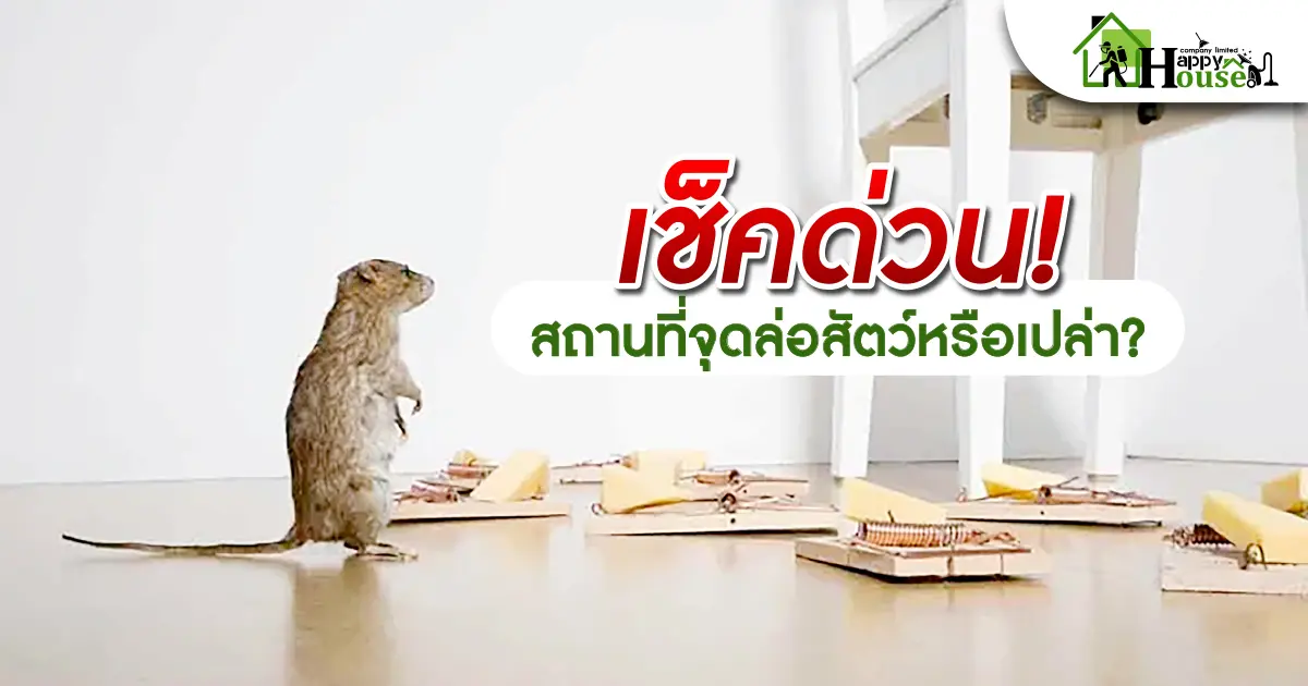 เช็คด่วน ! สถานที่จุดล่อสัตว์หรือเปล่า? เช็คด่วน ! สถานที่จุดล่อสัตว์หรือเปล่า?