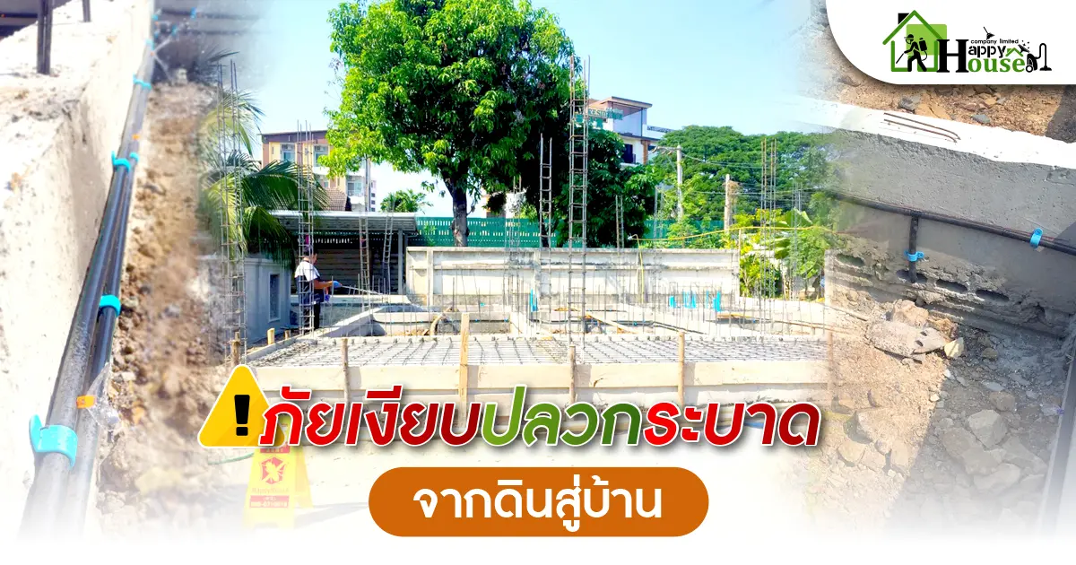ภัยเงียบปลวกระบาดจากดินสู่บ้าน !