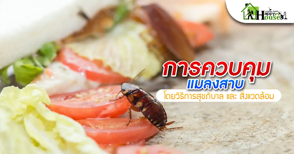 การควบคุมเเมลงสาบโดยวิธีการสุขภิบาลเเละสิ่งเเวดล้อม การควบคุมเเมลงสาบโดยวิธีการสุขภิบาลเเละสิ่งเเวดล้อม