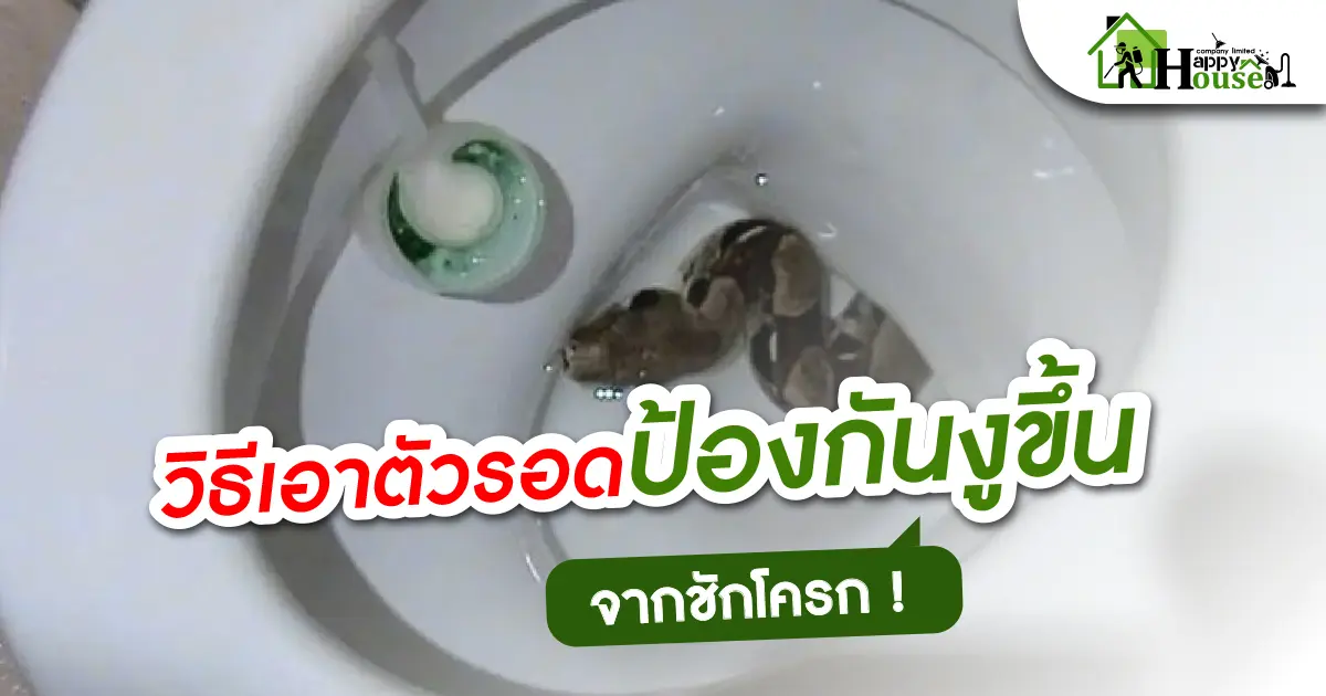 วิธีเอาตัวรอดป้องกันงูขึ้นจากชักโครก