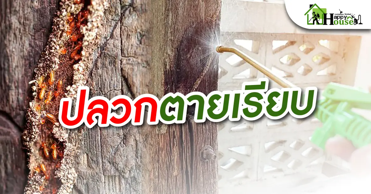 ปลวกตายเรียบ