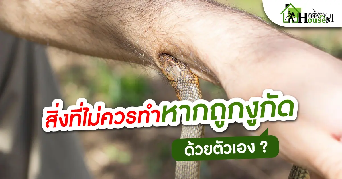 สิ่งที่ควรทำหากถูกงูกัดด้วยตนเอง?