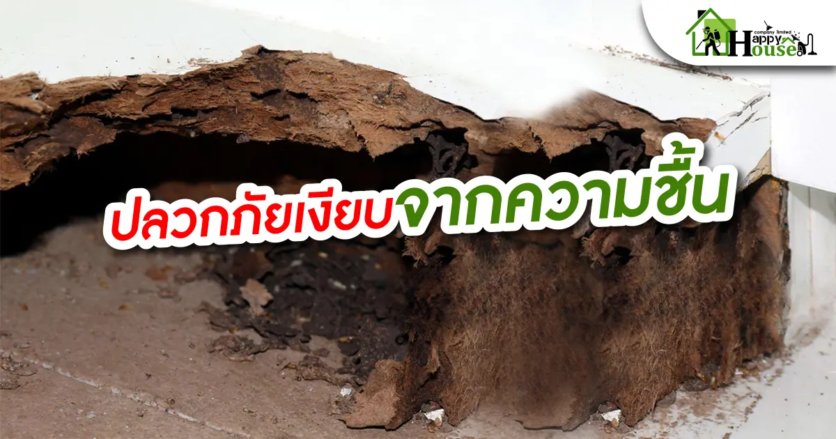 ปลวกภัยเงียบากความชื้น