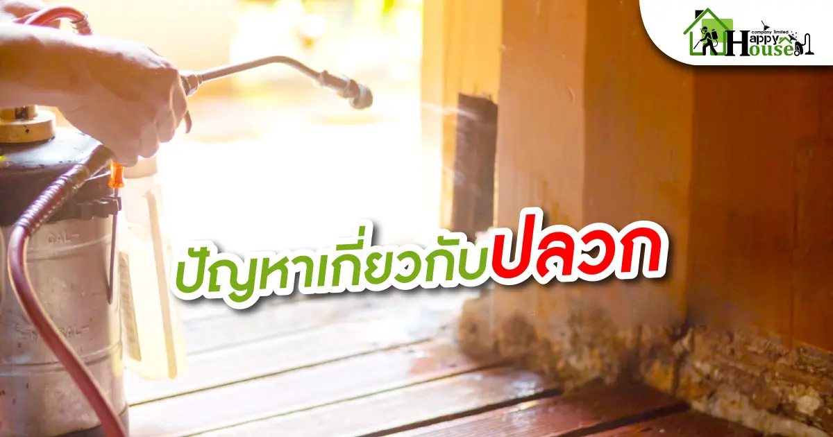 ปัญหาเกี่ยวกับปลวก