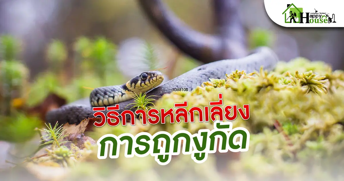 วิธีการหลีกเลี่ยงการถูกงูกัด วิธีการหลีกเลี่ยงการถูกงูกัด