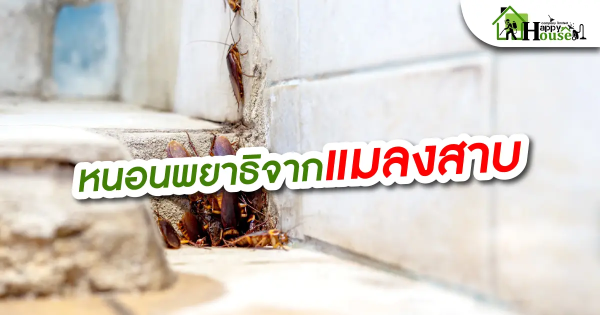 หนอนพยาธิจากเเมลงสาบ หนอนพยาธิจากเเมลงสาบ