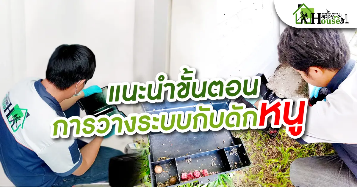 เเนะนำขั้นตอนการวางระบบกับดักหนู