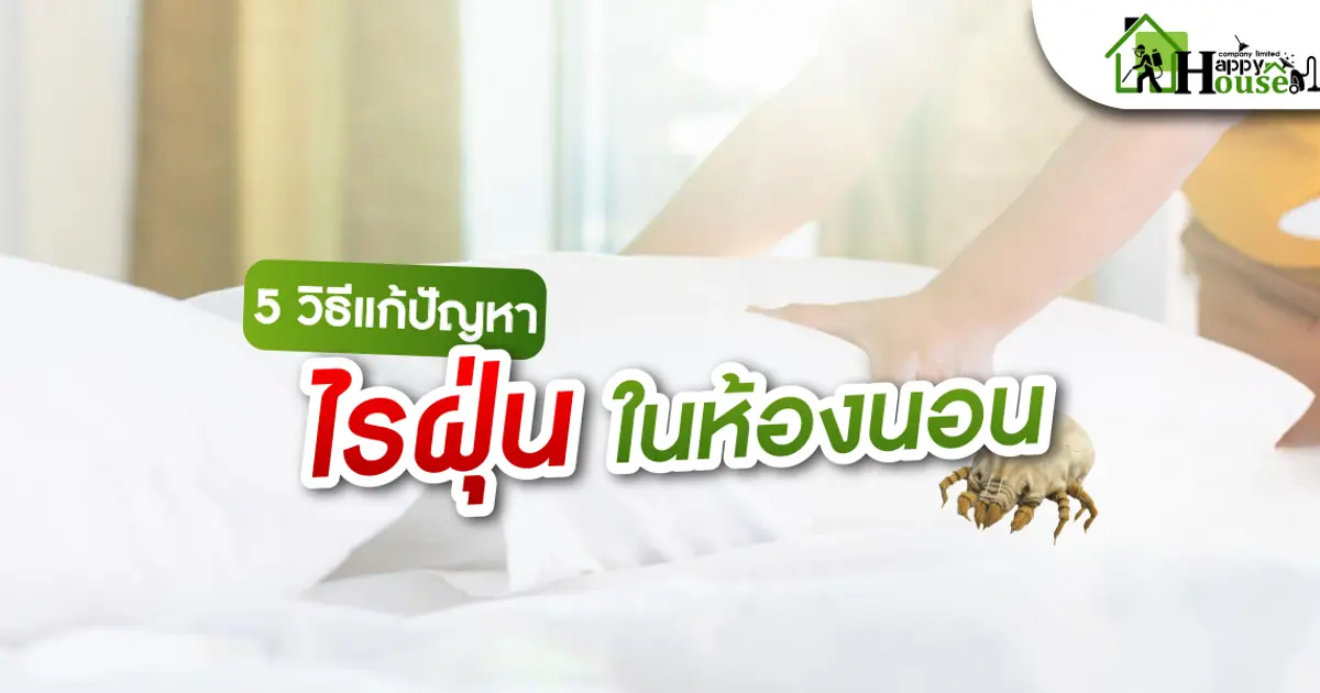 5 วิธีเเก้ปัญหาไรฝุ่นในห้องนอน