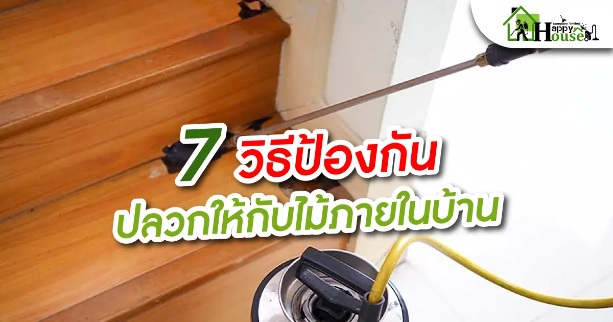 7 วิธีป้องกันปลวกให้กับไม้ภายในบ้าน