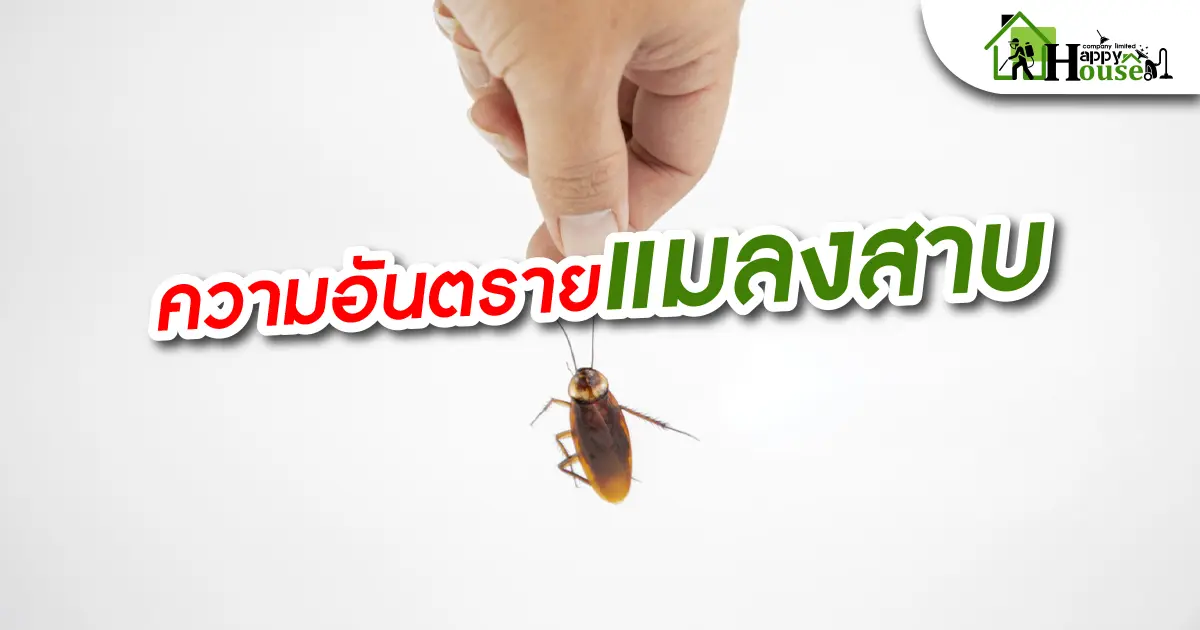 ความอันตรายเเมลงสาบ ความอันตรายเเมลงสาบ