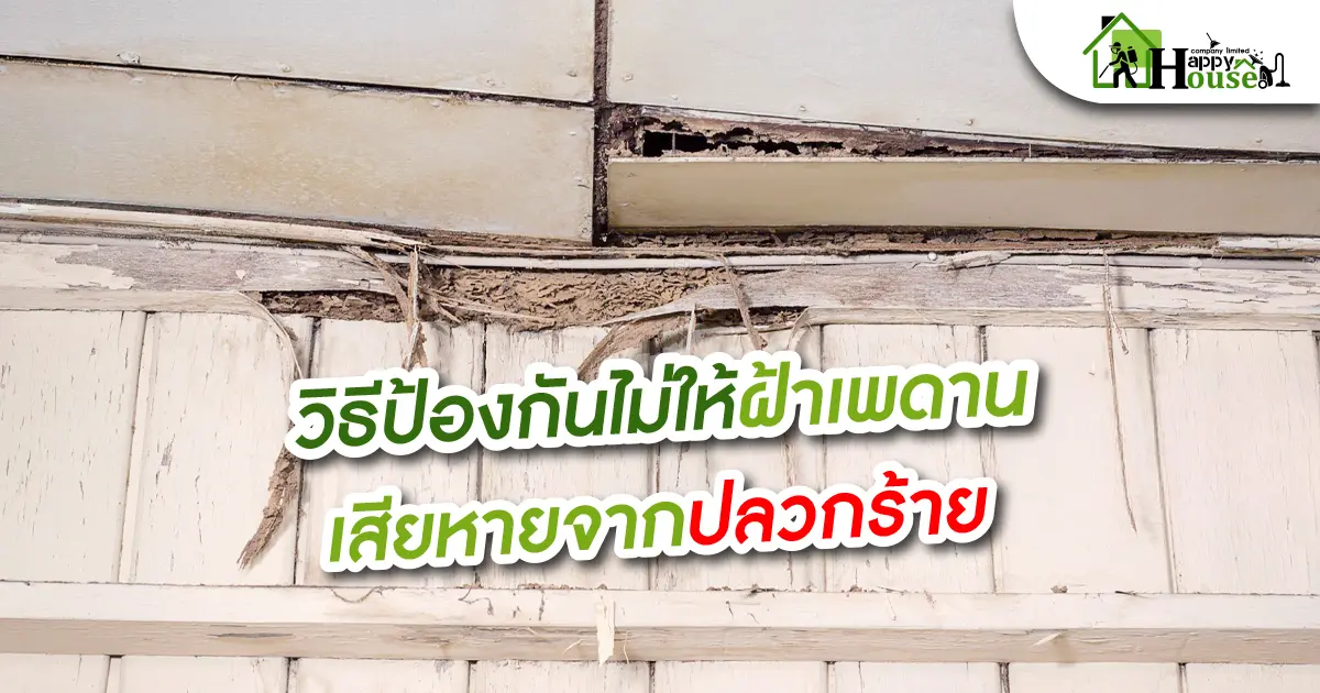 วิธีป้องกันไม่ให้ฝ้าเพดานเสียหายจากปลวกร้าย