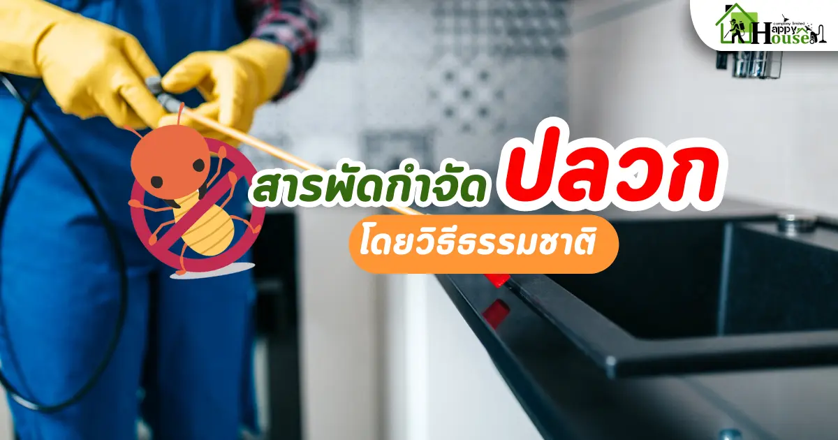 สารพัดกำจัดปลวกโดยวิธีธรรมชาติ