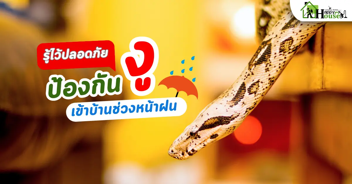 รู้ไว้ปลอดภัย ป้องกันงูเข้าบ้าน ช่วงหน้าฝน