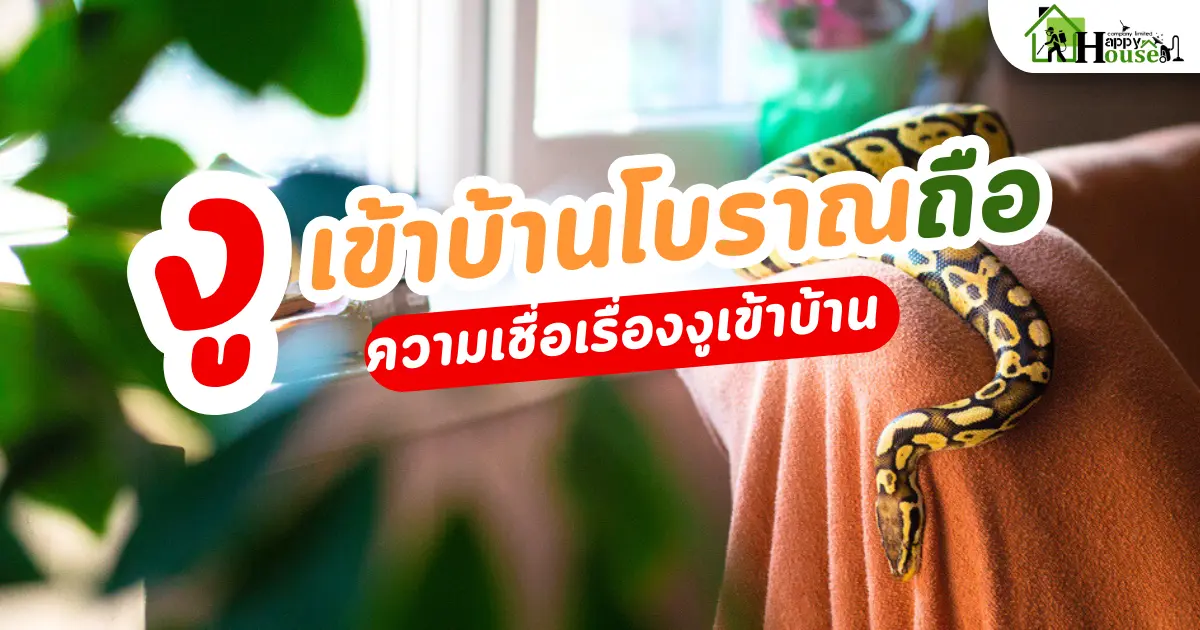 งูเข้าบ้านโบราณถือ งูเข้าบ้านโบราณถือ