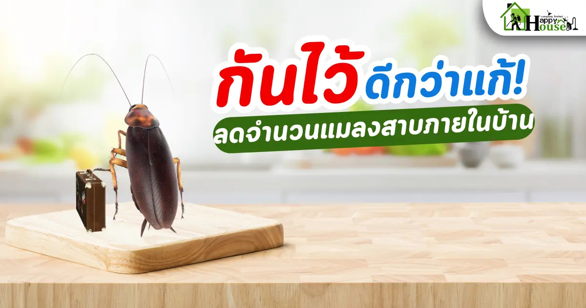 กันไว้ ดีกว่าแก้ ลดจำนวนแมลงสาบภายในบ้าน 