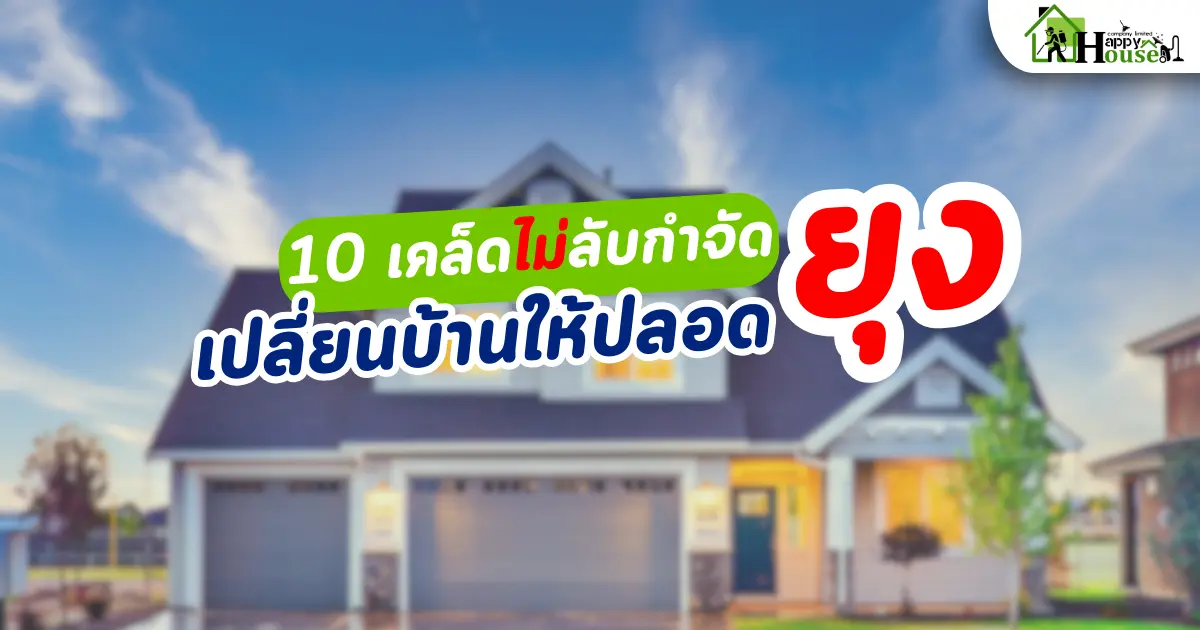 10 เคล็ดไม่ลับกำจัดยุง  10 เคล็ดไม่ลับกำจัดยุง