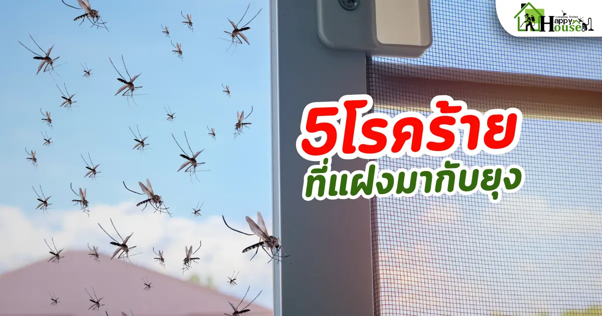 5โรคร้าย ที่แฝงมากับยุง