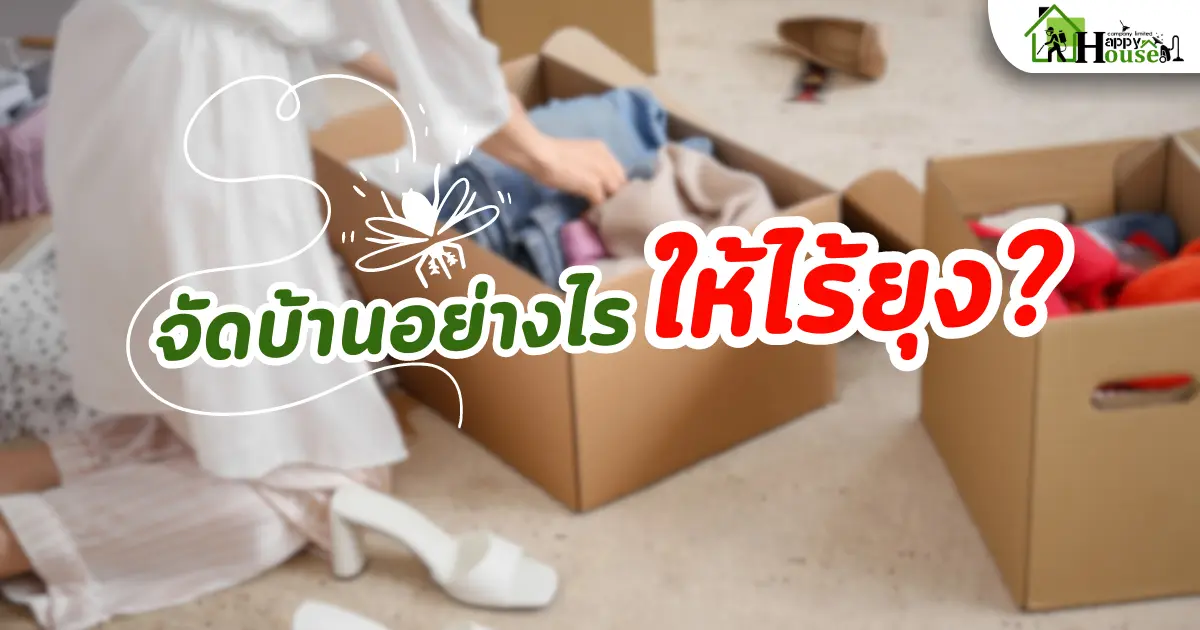 จัดบ้านอย่างไร ให้ไร้ยุง