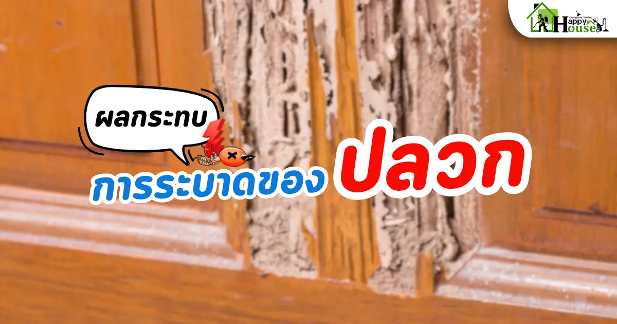 ผลกระทบ การระบาดของปลวก