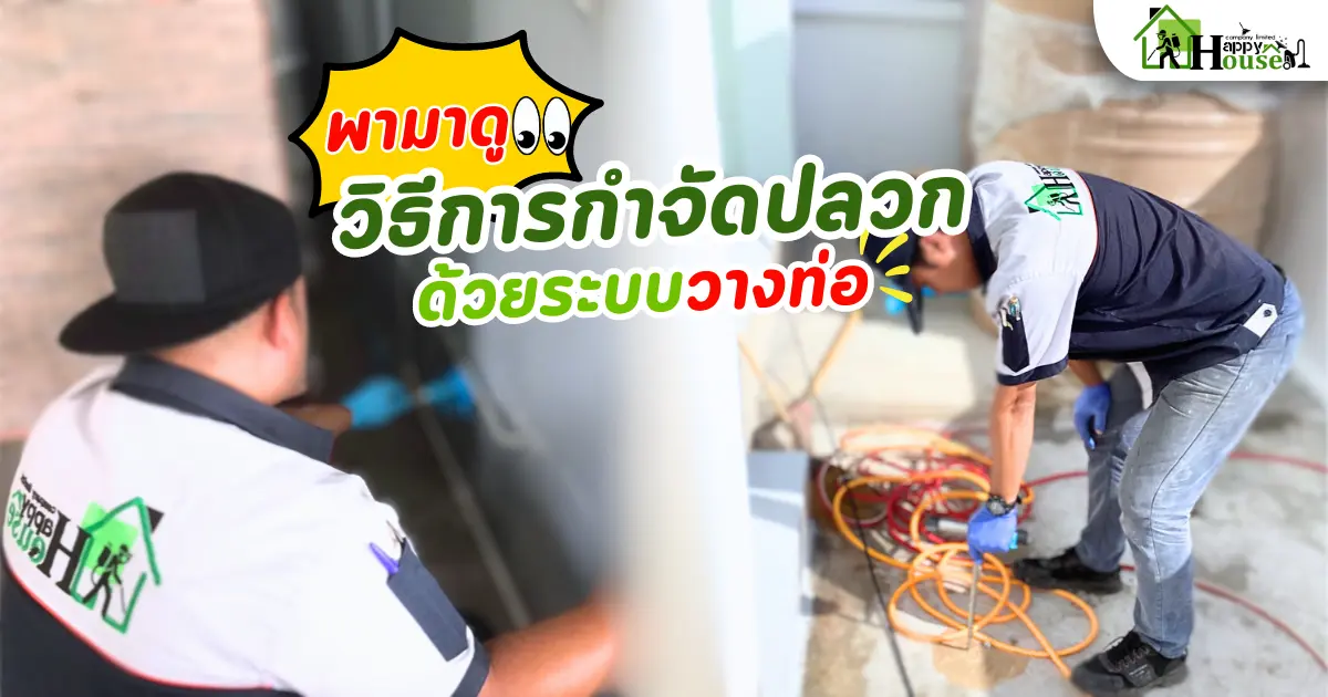 พามาดู วิธีการกำจัดปลวก ด้วยระบบวางท่อ พามาดู วิธีการกำจัดปลวก ด้วยระบบวางท่อ
