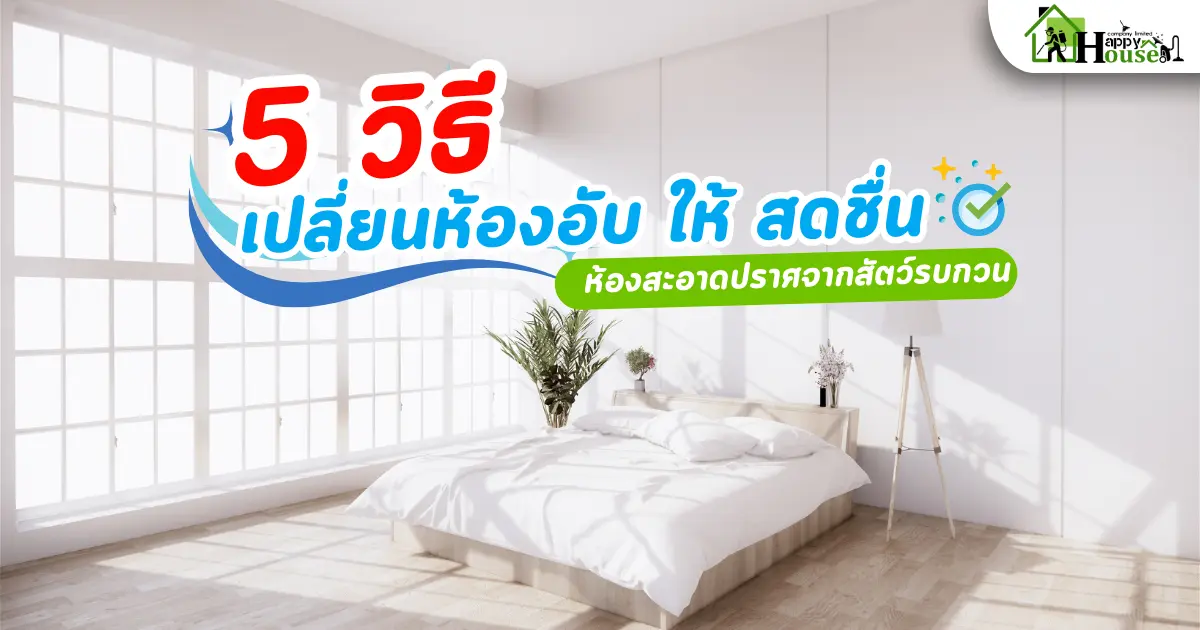 5 วิธี เปลี่ยนห้องอับให้สดชื่น 