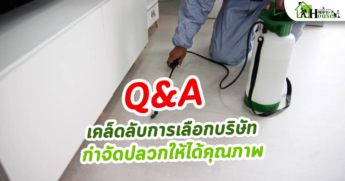 Q&A เคล็ดลับการเลือกบริษัทกำจัดปลวกให้ได้คุณภาพ 
