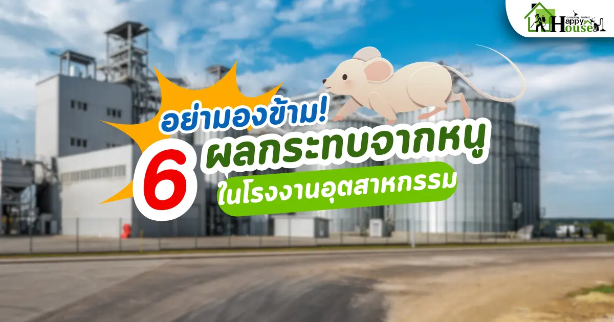 6 ผลกระทบจากหนูในโรงงานอุตสาหกรรม  6 ผลกระทบจากหนูในโรงงานอุตสาหกรรม