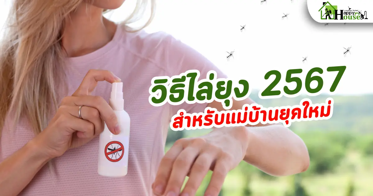 วิธีไล่ยุง2567 สำหรับแม่บ้านยุคใหม่ วิธีไล่ยุง2567 สำหรับแม่บ้านยุคใหม่